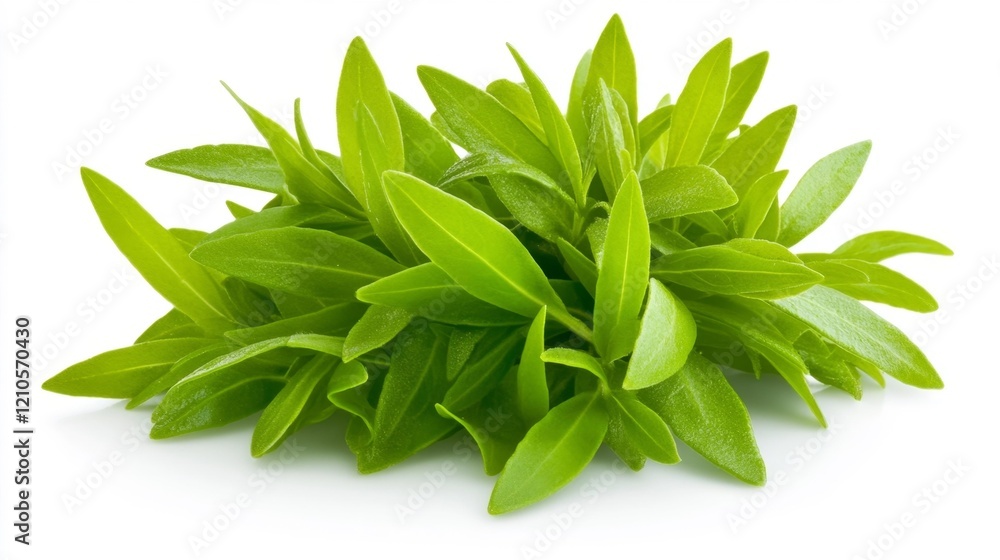 Fresh Tarragon Herb Isolated on White. Generative AI