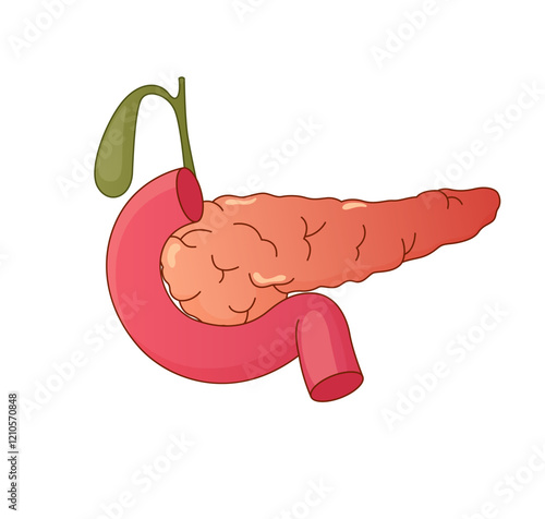 Pancreas Icon stock illustration