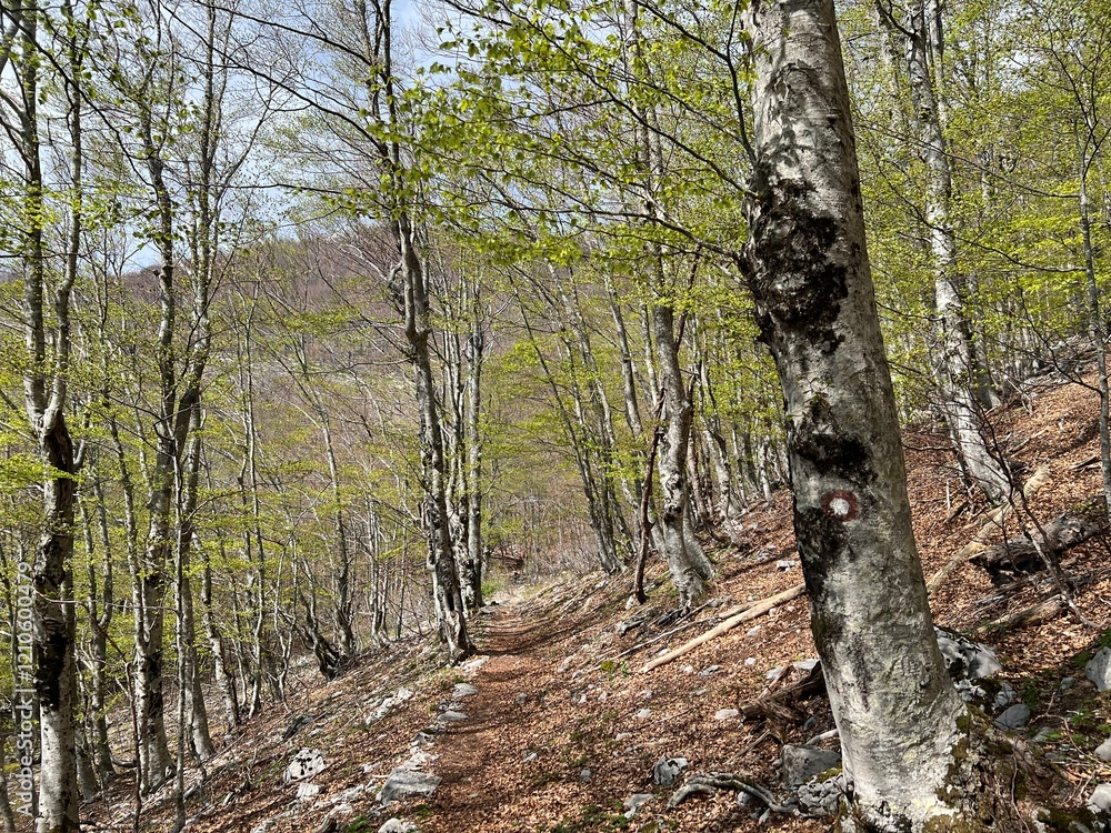Premuzic hiking trail or Premuzic Trail - Velebit Nature Park, Croatia or Premuzic-Wanderweg or Premuzic's Trail (Pješački planinarski put Premužićeva staza - Park prirode Velebit, Hrvatska) Premuzic hiking trail or Premuzic Trail - Velebit Nature Park, Croatia or Premuzic-Wanderweg or Premuzic's Trail (Pješački planinarski put Premužićeva staza - Park prirode Velebit, Hrvatska)
