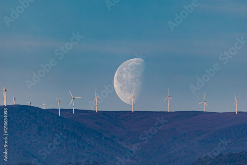 waning moon at the beginning of the year at dusk!
