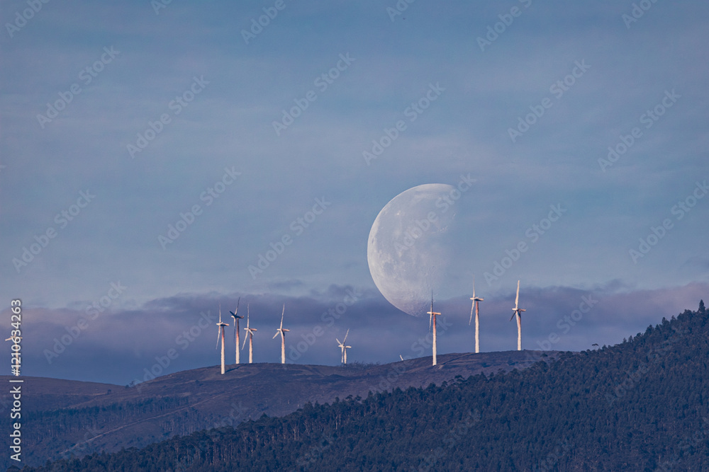 waning moon at the beginning of the year at dusk!
