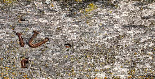 Rusty bent nails, long ago driven into an old board. The board is covered with moss. Macro, close-up.
