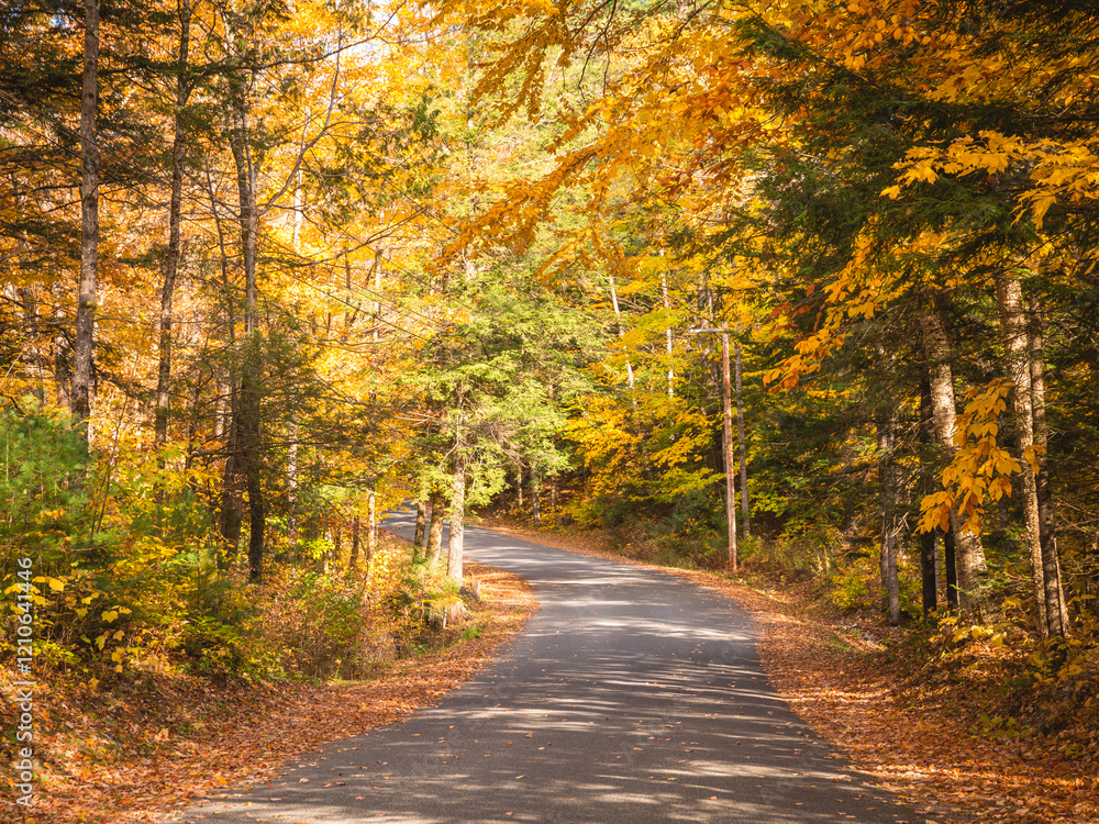 Obraz premium Late Fall in Upstate New York Dried Leaves Flower Garden Plants