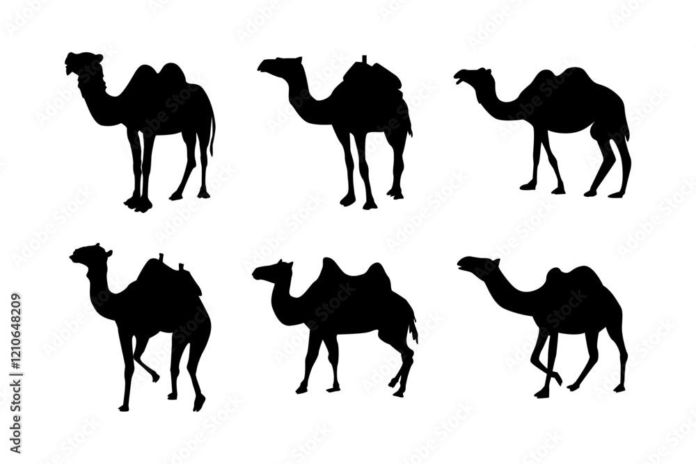 Naklejka premium Camel silhouette vector image set