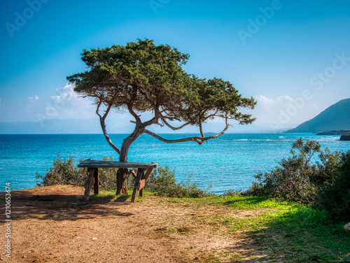 Sunlit Coastline and Lush Forest: Akamas National Forest Park, Cyprus