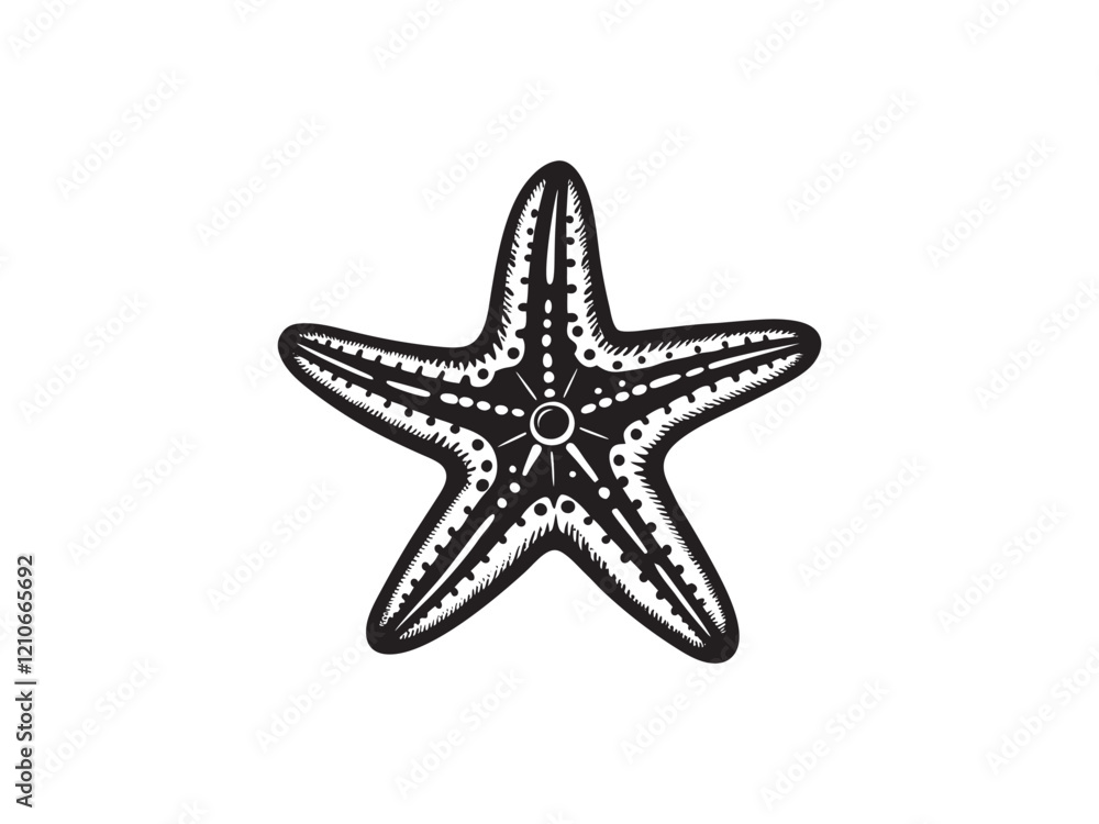 Starfish silhouette vector art illustration Starfish silhouette vector art illustration