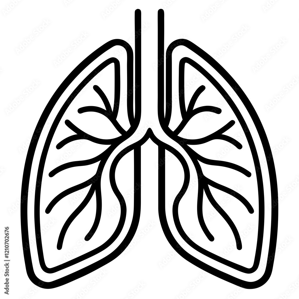 Black and white anatomical line drawing of bronchial system in human lungs, detailed medical illustration showing branching airways. Concept of pulmonology, respiratory medicine, medical education Black and white anatomical line drawing of bronchial system in human lungs, detailed medical illustration showing branching airways. Concept of pulmonology, respiratory medicine, medical education