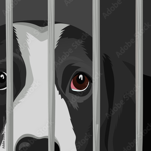 Black and white dog peering through metal bars with sorrowful expression, looking directly at camera. Close-up portrait showing emotional connection. Concept of animal shelter, pet rescue, animal righ