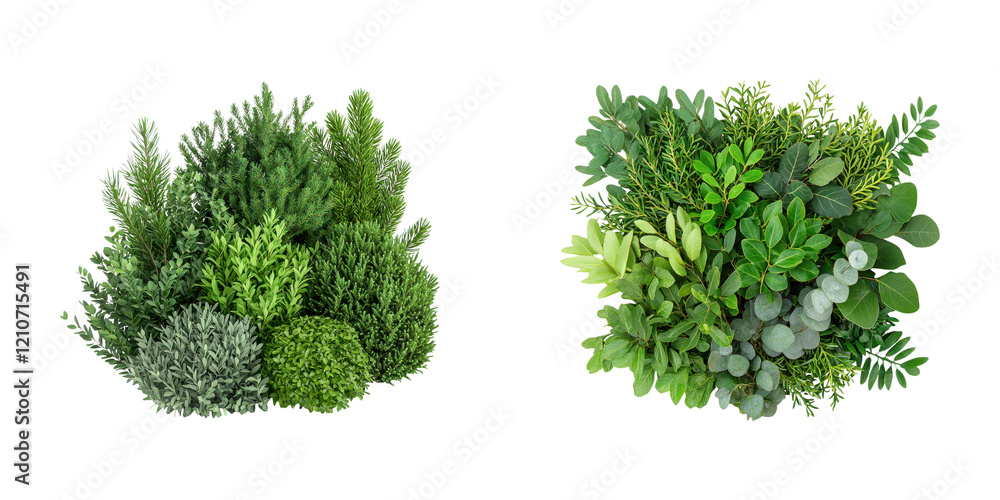 A lush arrangement of various green plants showcasing diverse textures and shades of foliage. A lush arrangement of various green plants showcasing diverse textures and shades of foliage.