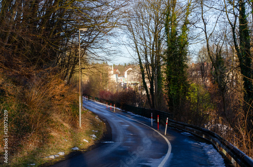 Quiet Winter Road in Woodland Area