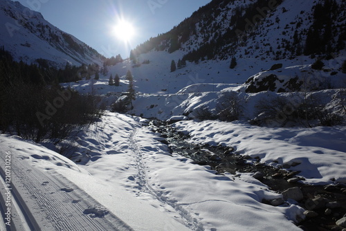 Snow hiking in Pitztal, Austria
