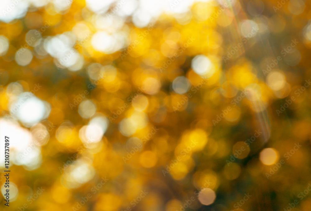 Obraz premium blurred abstract autumn background texture