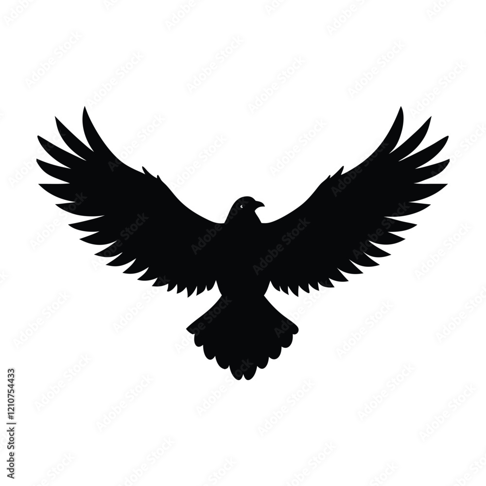 Obraz premium eagle in the sky