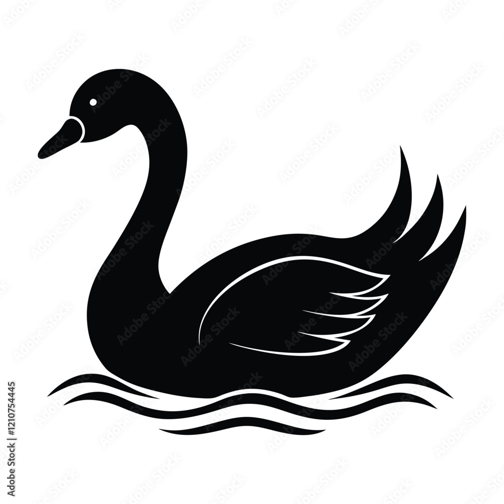 Fototapeta premium black swan on the lake