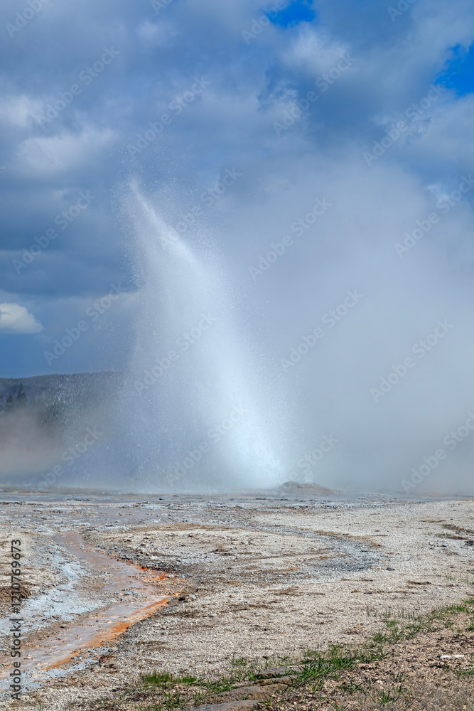 Daisy Geyser Erupting High int the Air