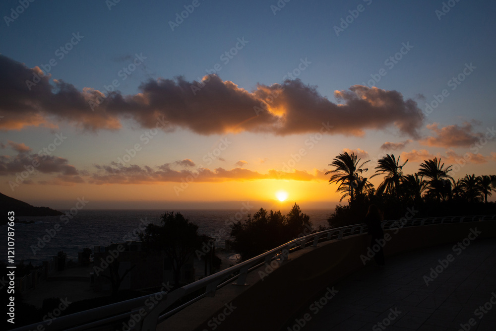 Fototapeta premium large tropical palm trees grow on the coast at sunset