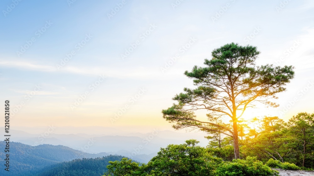 Sunset mountain landscape, single tree silhouette, peaceful scene, nature background, travel poster Sunset mountain landscape, single tree silhouette, peaceful scene, nature background, travel poster