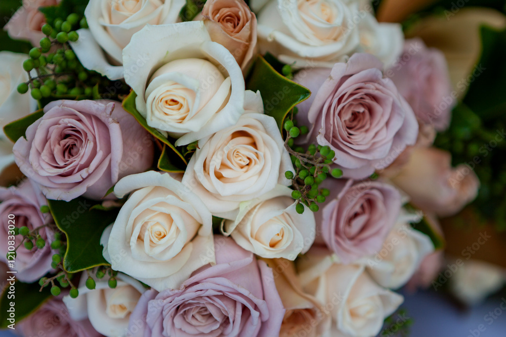 Fototapeta premium Sydney, New South Wales, Australia