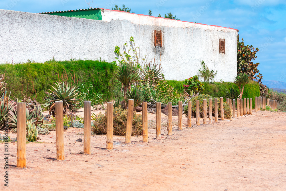 A rustic white wall with a green roof borders a desert landscape, featuring wooden posts, succulents, and arid plants under a bright blue sky, blending natural and architectural elements harmoniously