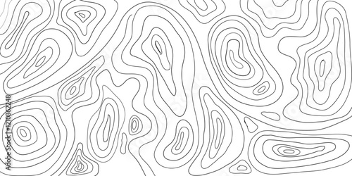 Topographic vector map pattern. Abstract mountain terrain map background with abstract shape line texture.