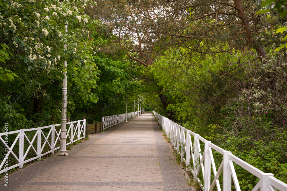 Path Through Lush Green Trees with White Railing in Dziwnów Path Through Lush Green Trees with White Railing in Dziwnów