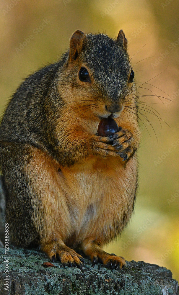 Snack time Snack time