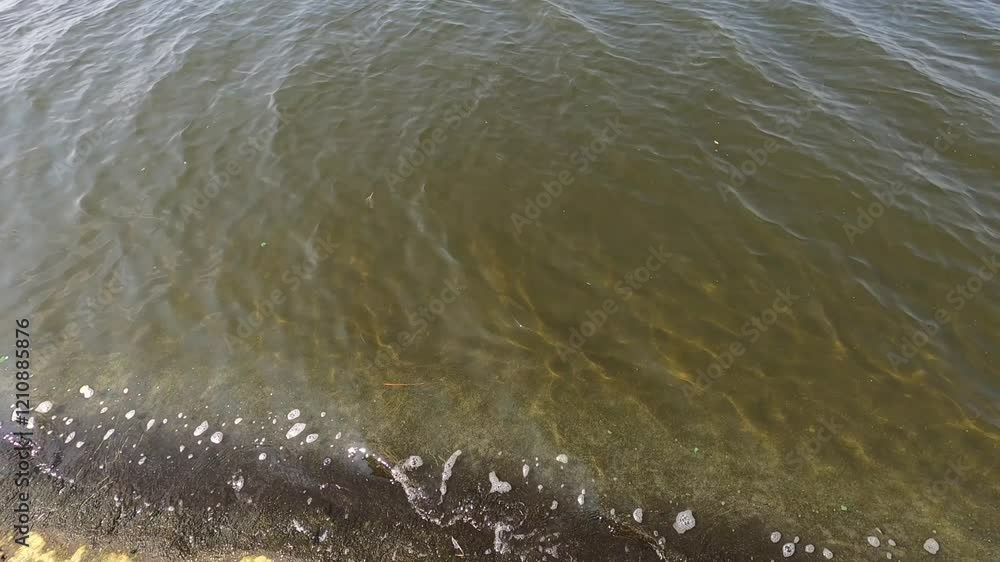 Gentle waves rolling onto the shore, with a light breeze creating ripples and the sun reflecting off the water's surface Gentle waves rolling onto the shore, with a light breeze creating ripples and the sun reflecting off the water's surface