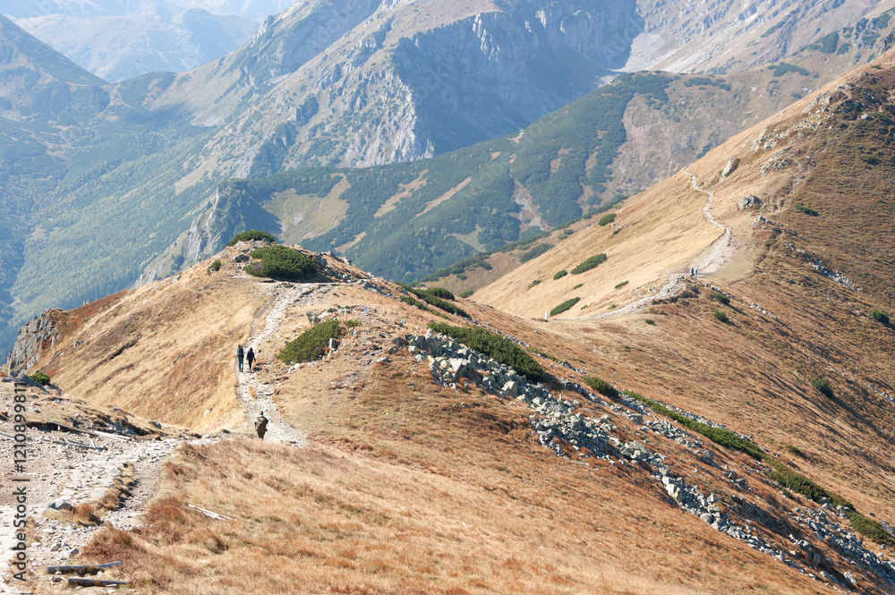 Hikers on Mountain Trail with Panorama View - Zakopane Tatra Mountains