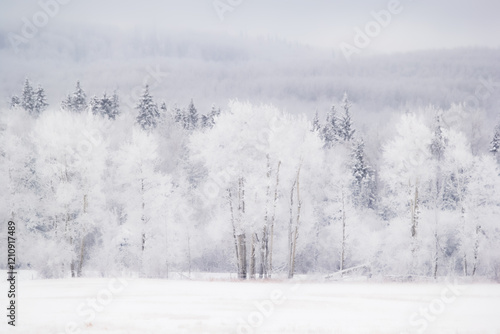 Obraz na płótnie Scenic white landscape in winter frozen prairies, snowy field and line of woods on hills covered with hoarfrost w salonie