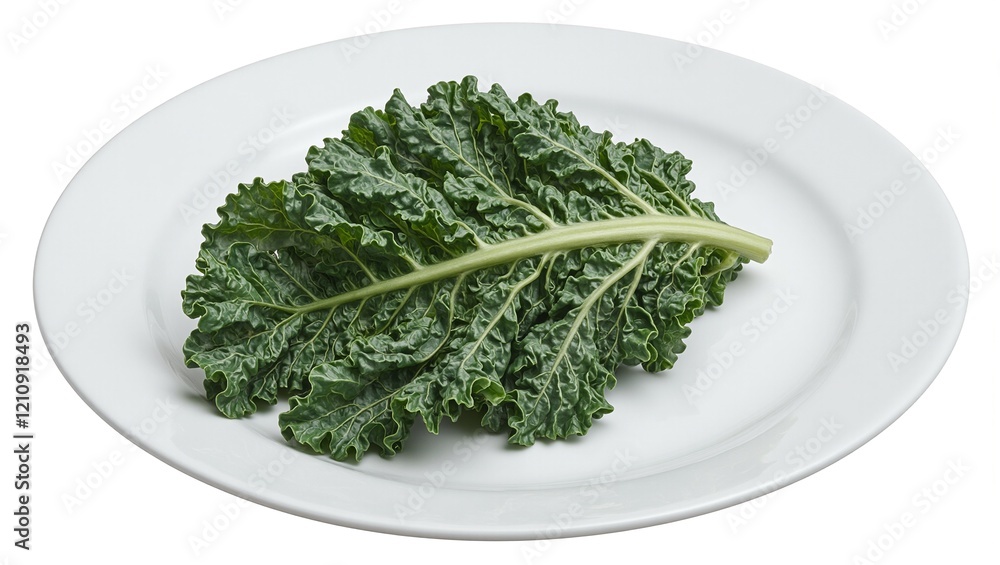 Fresh dark green kale leaf on white plate wrinkled texture and prominent central stem Fresh dark green kale leaf on white plate wrinkled texture and prominent central stem