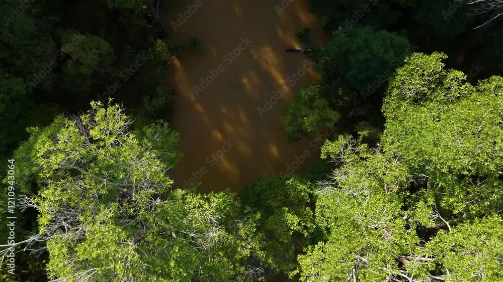 Aerial drone shot of the lush rainforest in the Gordon Creek area, Kutini-Payamu National Park, capturing the stunning biodiversity of North Queensland tropical landscapes. Aerial drone shot of the lush rainforest in the Gordon Creek area, Kutini-Payamu National Park, capturing the stunning biodiversity of North Queensland tropical landscapes.