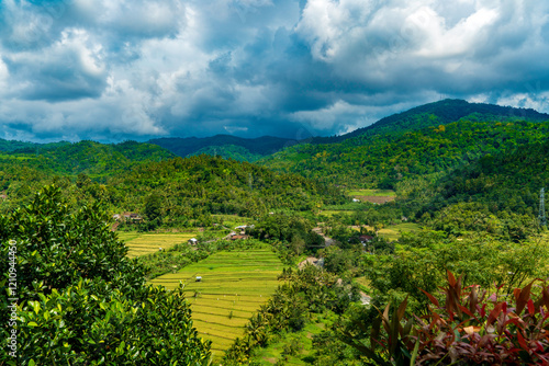 Beautiful rice field in Pupuan Bali Indonesia