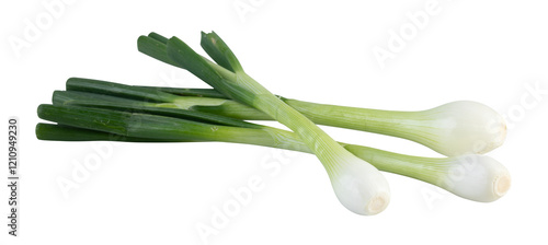 fresh spring onions cut out isolated transparent background