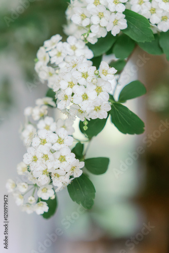 Cascading spirea in a table settings