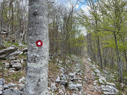 Wallpaper Mural Premuzic hiking trail or Premuzic Trail - Velebit Nature Park, Croatia or Premuzic-Wanderweg or Premuzic's Trail (Pješački planinarski put Premužićeva staza - Park prirode Velebit, Hrvatska) Torontodigital.ca