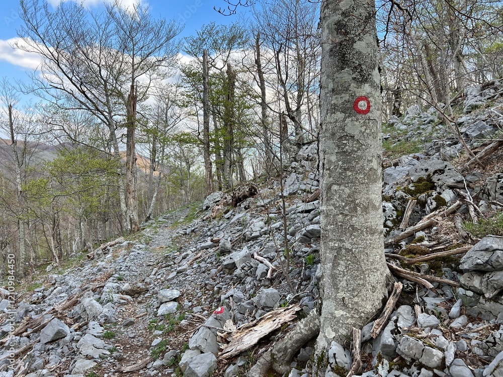 Premuzic hiking trail or Premuzic Trail - Velebit Nature Park, Croatia or Premuzic-Wanderweg or Premuzic's Trail (Pješački planinarski put Premužićeva staza - Park prirode Velebit, Hrvatska) Premuzic hiking trail or Premuzic Trail - Velebit Nature Park, Croatia or Premuzic-Wanderweg or Premuzic's Trail (Pješački planinarski put Premužićeva staza - Park prirode Velebit, Hrvatska)