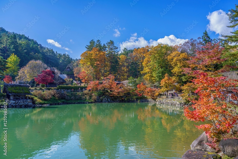 青空バックに見るちょうど見ごろの紅葉に囲まれた合掌造りの里の情景