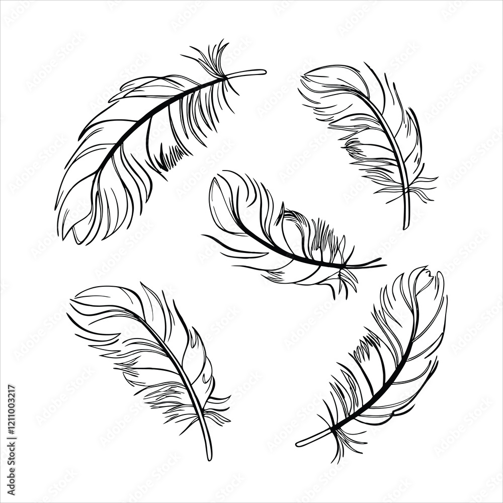 feather and plume silhouette vector illustration.
