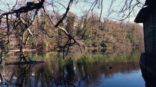 Peaceful Spring Day: Lone Duck Swims in the Calm Waters of Crn Drim River, Surrounded by Lush Trees photo