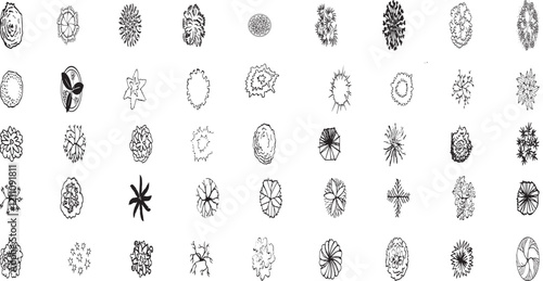 Tree top view line illustrations, perfect treetop for architectural plans, landscape design, and urban planning projects. 