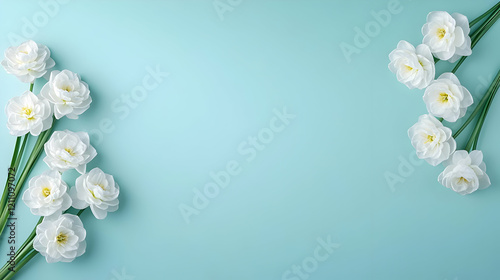 White Narcissus Flowers Arr...