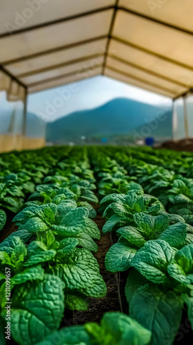 Lush Green Plants Thrive Un...