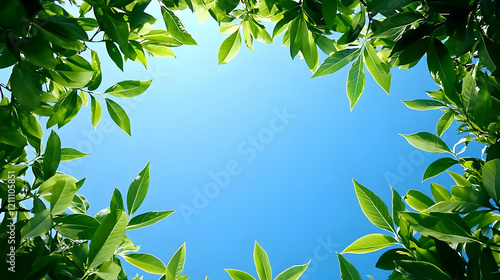 Green Leaves Frame a Clear Blue Sky on a Sunny Day from Below with Vibrant Colors
