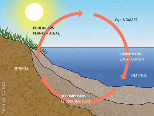 illustration of  natural water features diagram