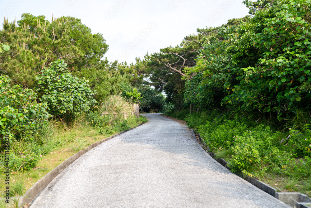 Empty sea and mountain road in spring at Aka Island, Zamami Village, Okinawa Prefecture, Japan Empty sea and mountain road in spring at Aka Island, Zamami Village, Okinawa Prefecture, Japan
