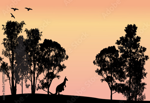 silhouette of many different gum trees Australian gum trees