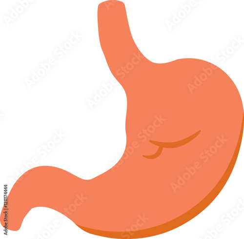 장기 내장 일러스트 건강검진 암 검진 a healthy gut | Hospital organ cancer vector illustration