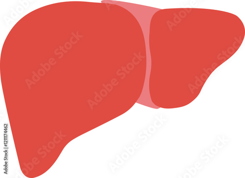 장기 내장 일러스트 건강검진 암 검진 a healthy gut | Hospital organ cancer vector illustration