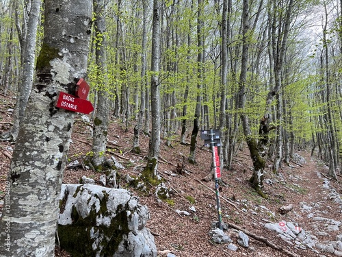 Mountaineering signs and climbing markings in the area of ​​the Velebit Nature Park, Croatia (Planinarske oznake i penjačke markacije na području Parka prirode Velebit, Hrvatska) photo