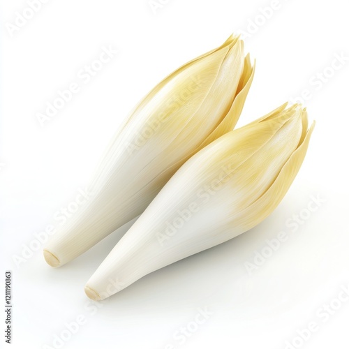 Two chicories isolated on white background, studio shot, food photography, recipe ingredient photo